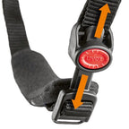 uvex boss race, black 55-60
