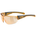 brilles uvex equate smoke-orange/orange 1