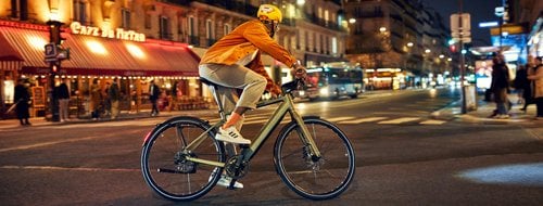 Riese&Muller URBAN FIVE Silent, Selva