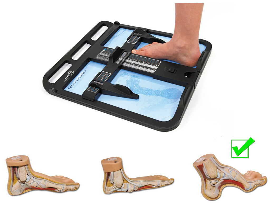 Universal CUSHION