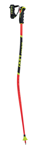 65065901