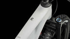 Cube Stereo ONE55 C:62 Race 29 lightgrey´n´grey