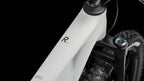 Cube Stereo ONE55 C:62 Race 29 lightgrey´n´grey