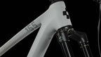 Cube Stereo ONE55 C:62 Race 29 lightgrey´n´grey
