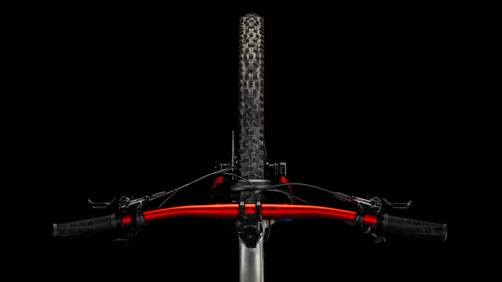 Cube Stereo ONE22 Race rawmetal n black