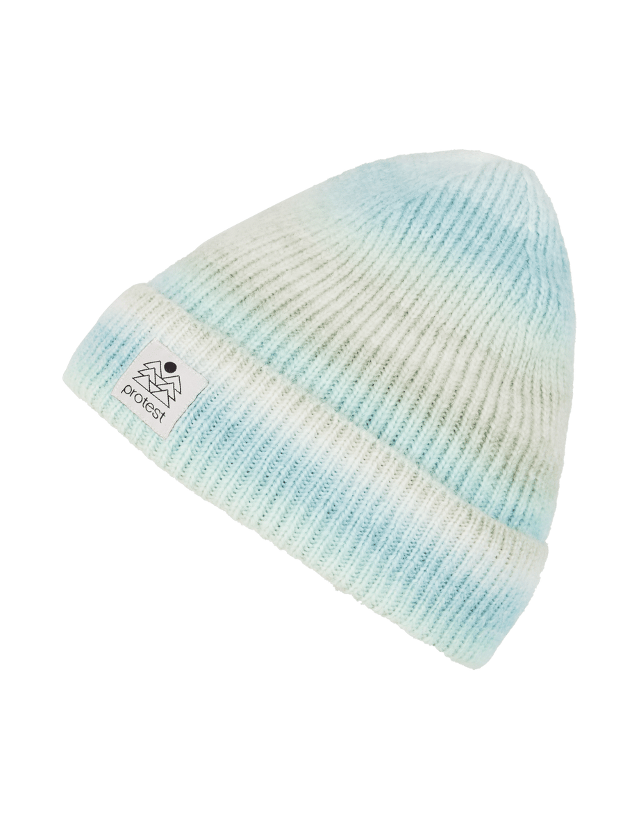 Protest PRTCOINS beanie