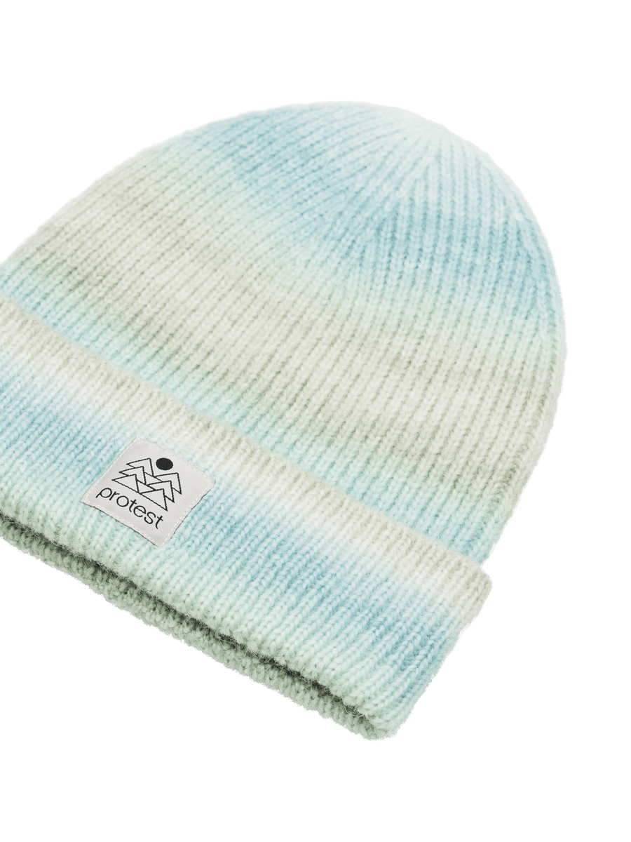 Protest PRTCOINS beanie
