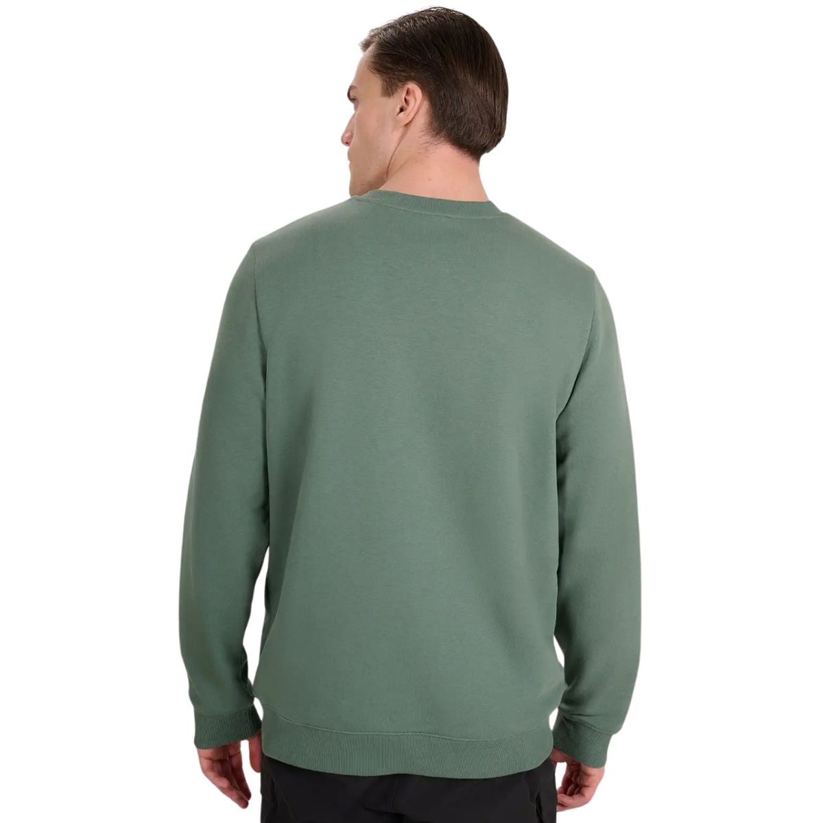 brīvā laika džemperis sweatshirt green 4f waw25tswsm1981 41s