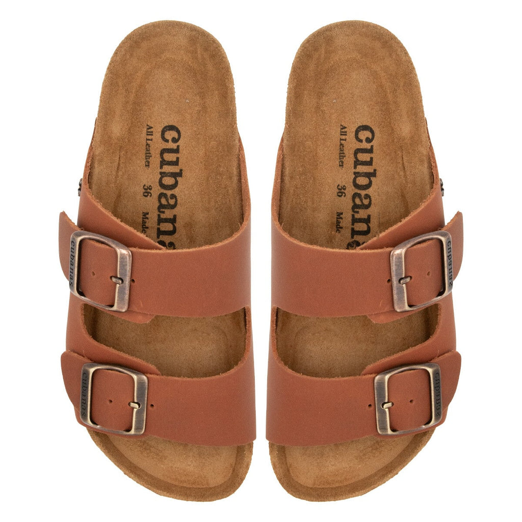 comp100 brown 3