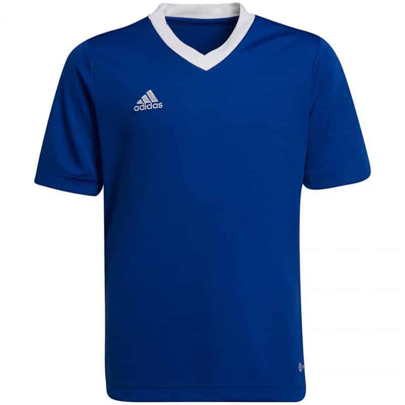 Adidas ENT22 JSY  Y  ROYBLU