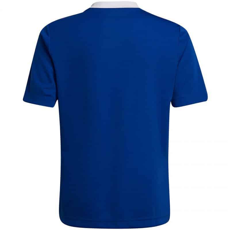 Adidas ENT22 JSY  Y  ROYBLU