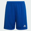 Adidas ENT22 SHO Y  ROYBLU