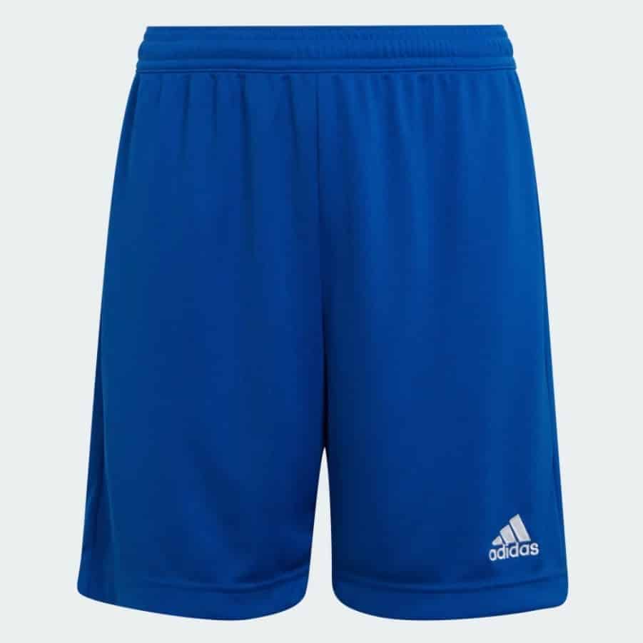 Adidas ENT22 SHO Y  ROYBLU