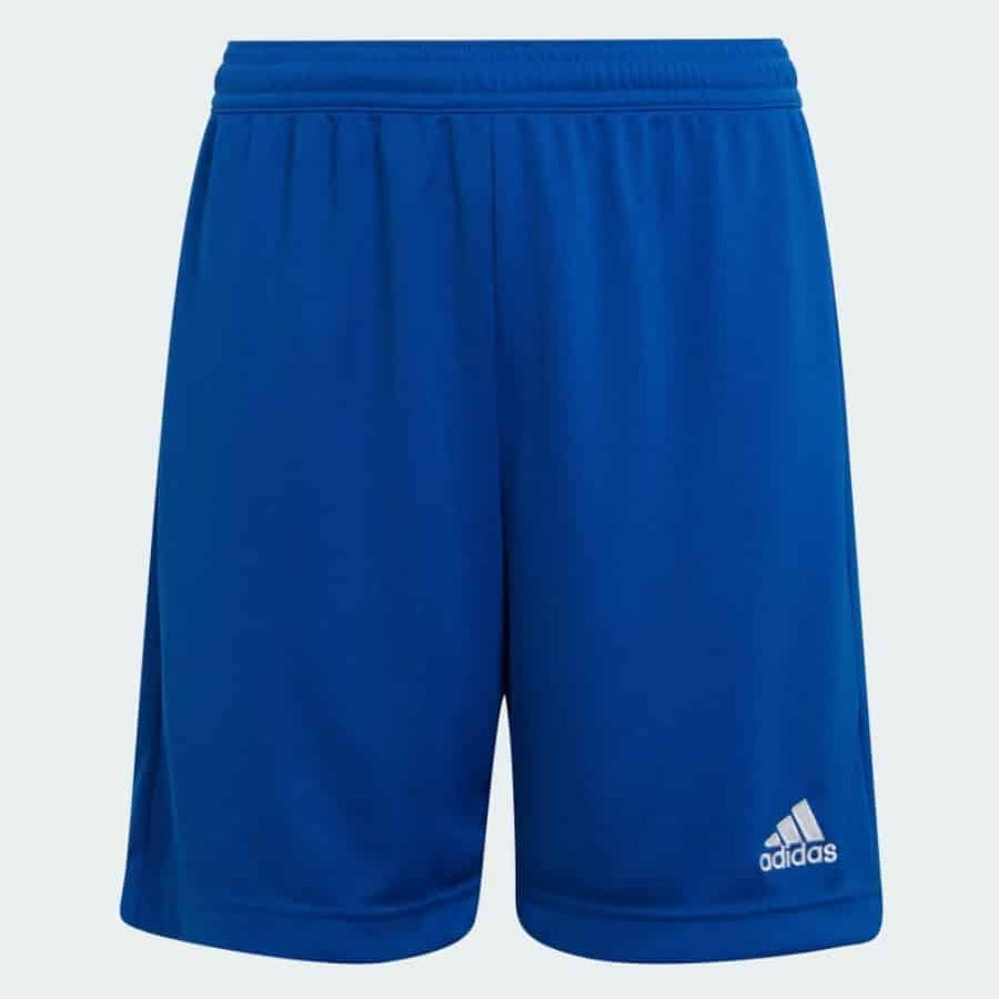 Adidas ENT22 SHO Y  ROYBLU