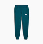 Puma ESS+ 2 Col Logo Pants FL cl Cold Green