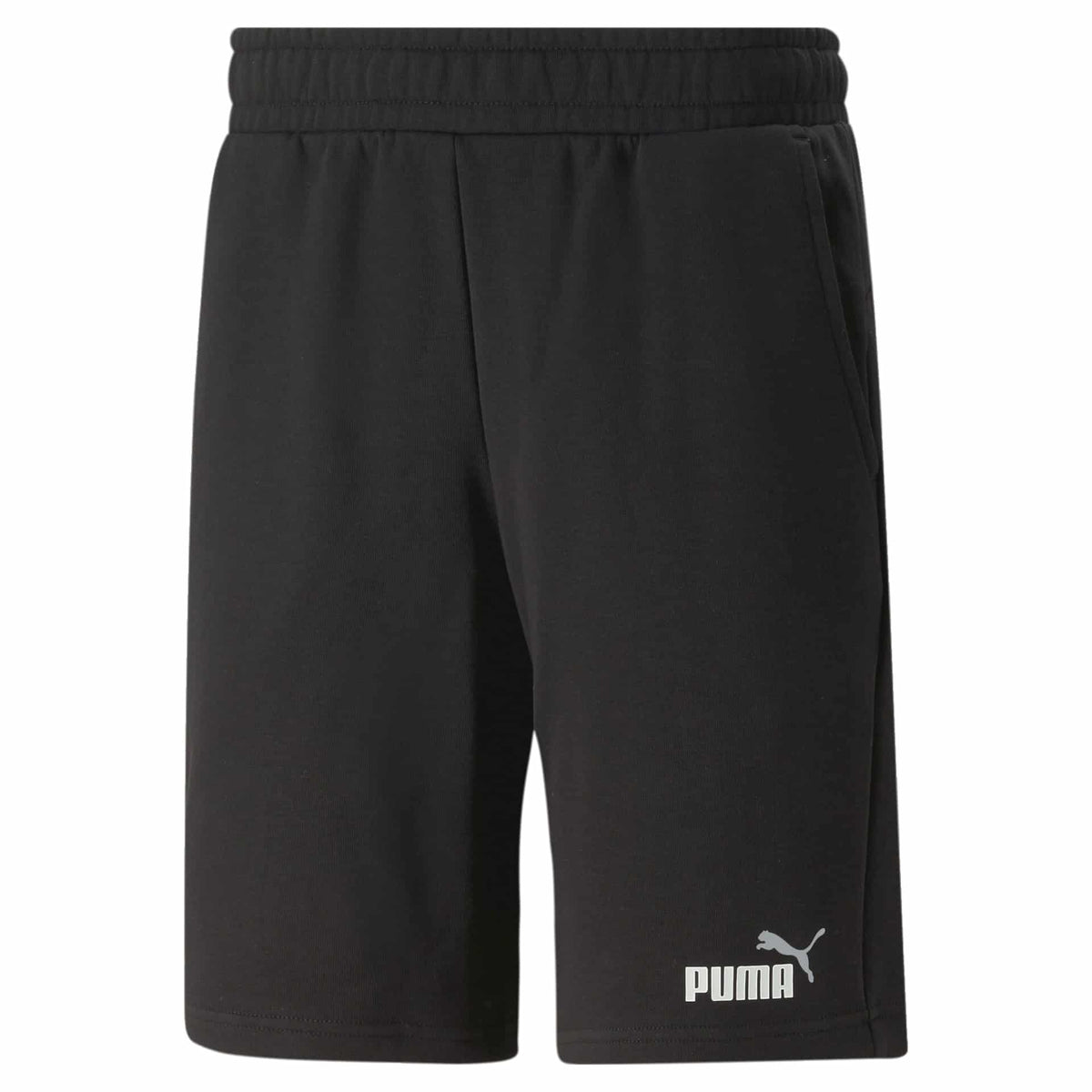 Puma ESS+ 2 Col Shorts 10″”