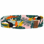 Spokey HOME JUNGLE GUM fitnesa gumija hard