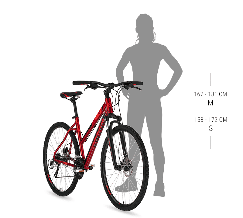 Kellys Clea Size Chart