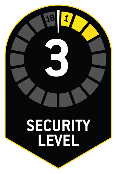 Level 3