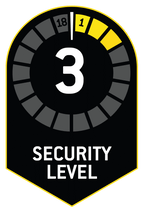 Level 3