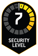 Level 7