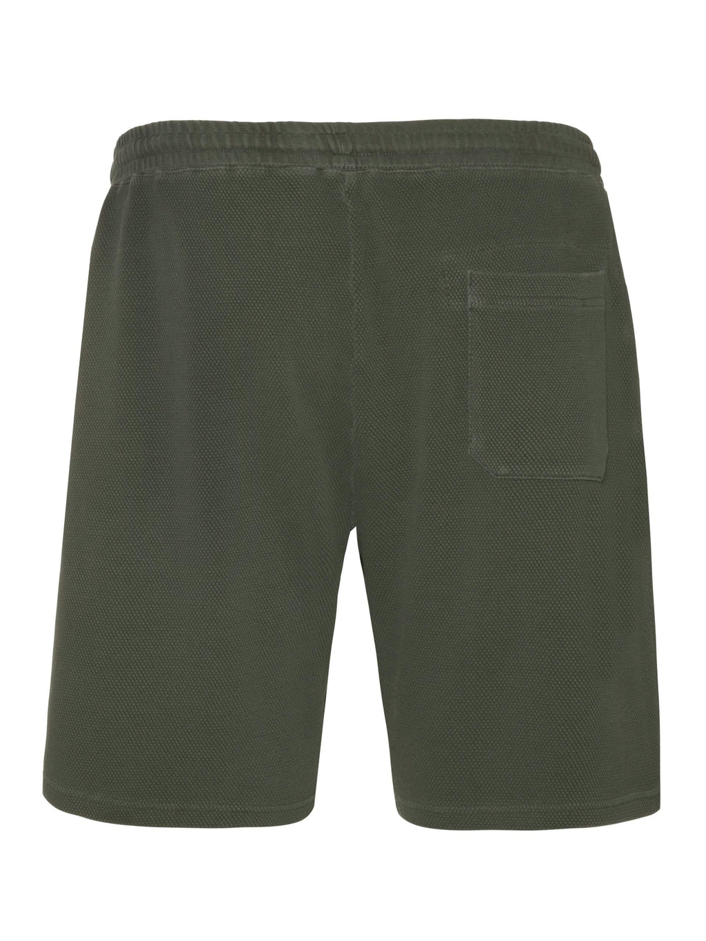 Protest NXGGRIM jogging shorts, Spruce