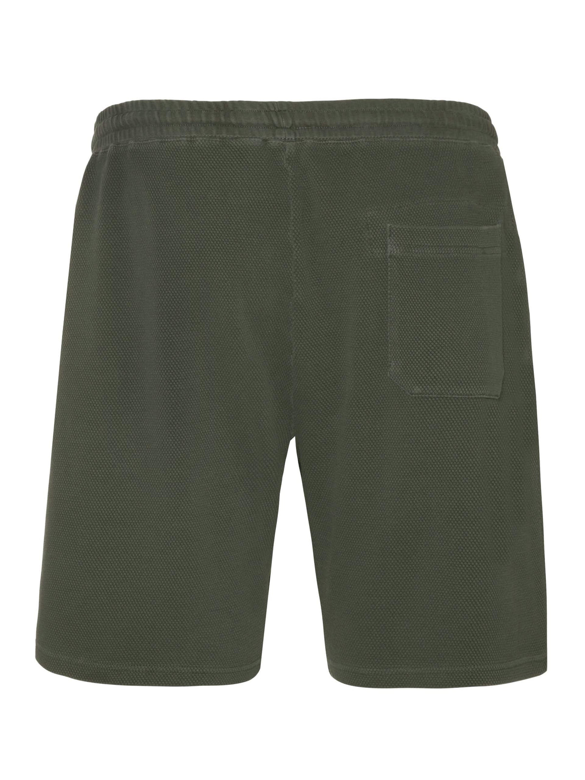 Protest NXGGRIM jogging shorts, Spruce