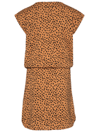 Pr 2911211 862
