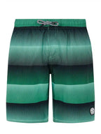 prtray jr beachshort cactus green pr 71851009 853 3