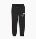 Puma PUMA POWER Graphic Sweatpants TR cl