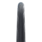 Riepa Schwalbe Lugano 2 1