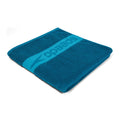 Speedo Speedo Border Towel, Ocean Depths/Mystic