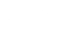 Knog