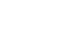 Mizuno
