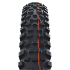 Schwalbe Hans Dampf Performance 1