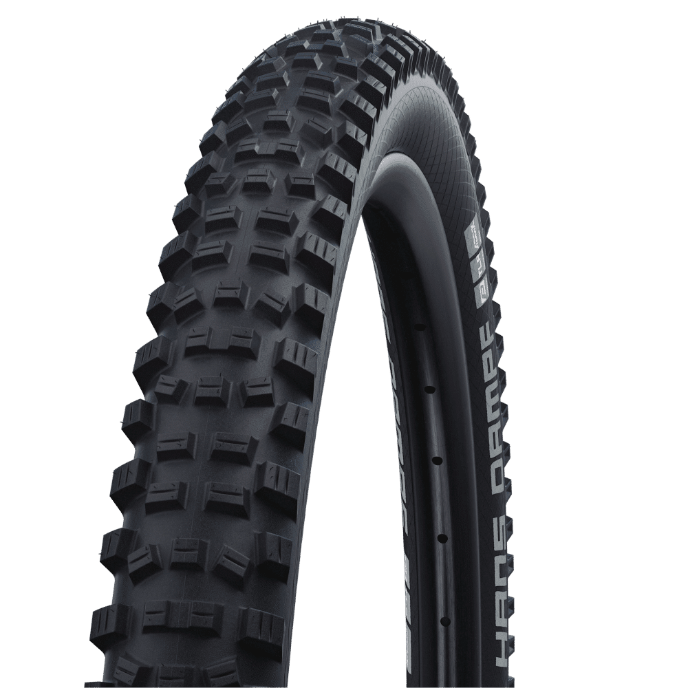 Schwalbe Hans Dampf Performance