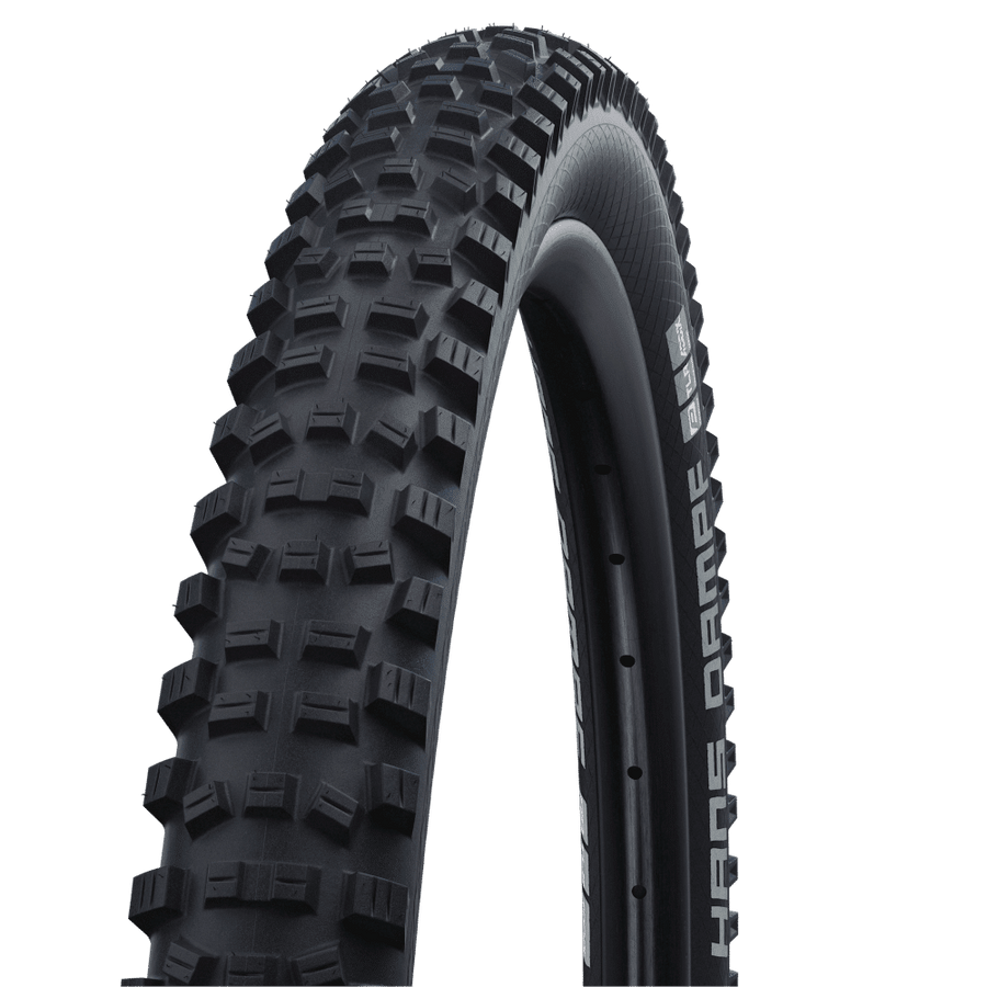 Schwalbe Hans Dampf Performance