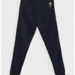 4f Hjz21 Jspmd002b 31s