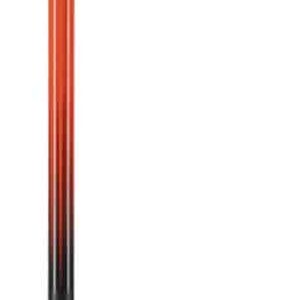 Rossignol Hero Carbon Rdl1010