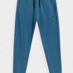 Trousers Denim 4f Aw23ttrom452 32s