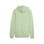 Puma ESS+ 2 Col Small Logo Hoodie TR