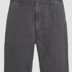 Protest PRTCOMIE shorts, Deep Grey