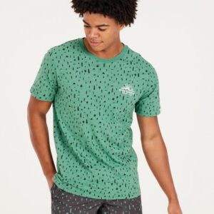 Protest PRTSCOT t-shirt, Frosty Green
