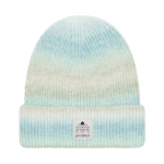 Protest PRTCOINS beanie