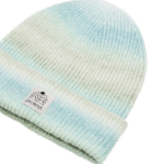 Protest PRTCOINS beanie