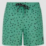 prtjuan beachshort cactus green pr 71751025 853 2