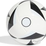 rm mini home white black skytin ad ix4020