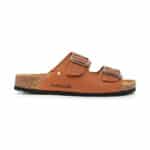 comp100 brown