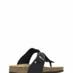 comp120 black 1