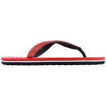 florida red navy le vcal0021s 0896